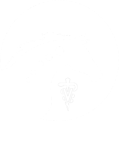 Excelsior Equine logo